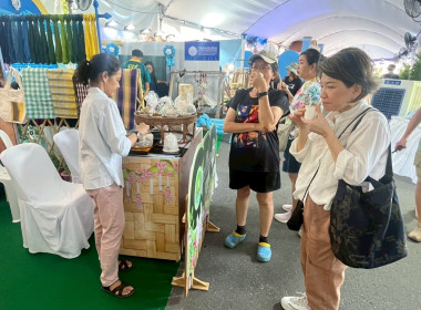 งาน “สีสรรพรรณไม้ เทิดไท้บรมราชินีนาถ” ประจำปี 2568 ... พารามิเตอร์รูปภาพ 18